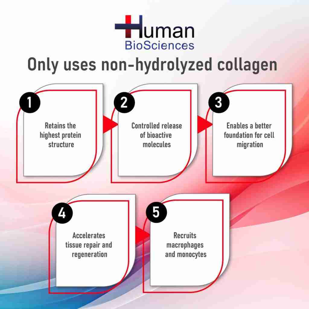 non hydrolyzed collagen uses